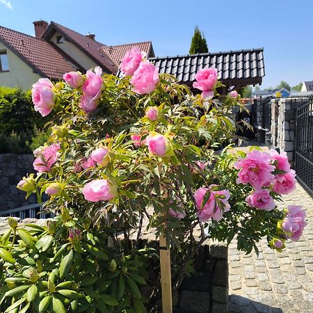 Pokoje Goscinne Weronika Puck Buitenkant foto